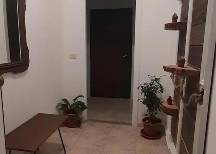 Margherita Olbia
